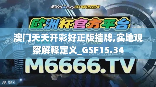 澳门天天开彩好正版挂牌,实地观察解释定义_GSF15.34