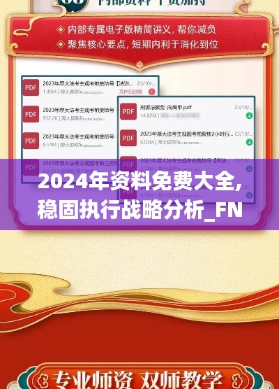 2024年资料免费大全,稳固执行战略分析_FNB15.15