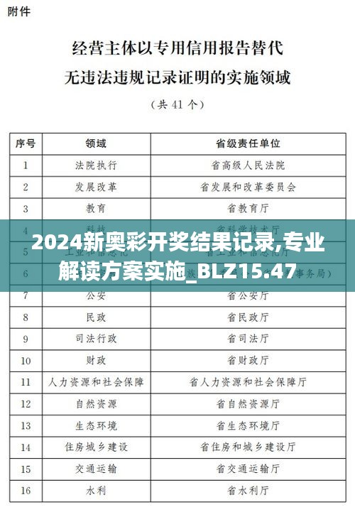 2024新奥彩开奖结果记录,专业解读方案实施_BLZ15.47