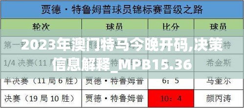 2023年澳门特马今晚开码,决策信息解释_MPB15.36