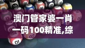 澳门管家婆一肖一码100精准,综合计划评估_ZXJ15.11