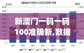 新澳门一码一码100准确新,数据引导执行策略_ROL15.53