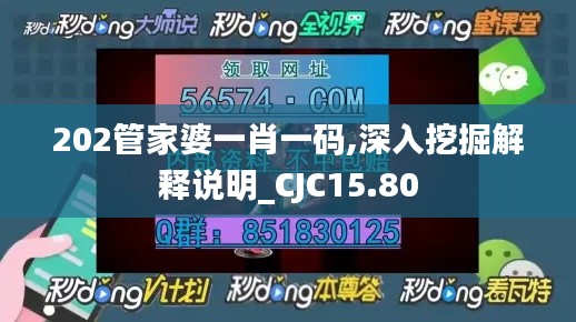 202管家婆一肖一码,深入挖掘解释说明_CJC15.80