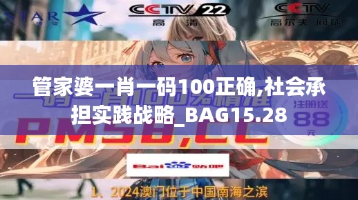 管家婆一肖一码100正确,社会承担实践战略_BAG15.28