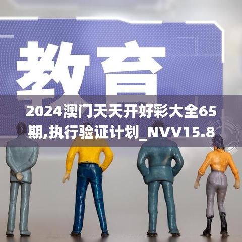 2024澳门天天开好彩大全65期,执行验证计划_NVV15.8