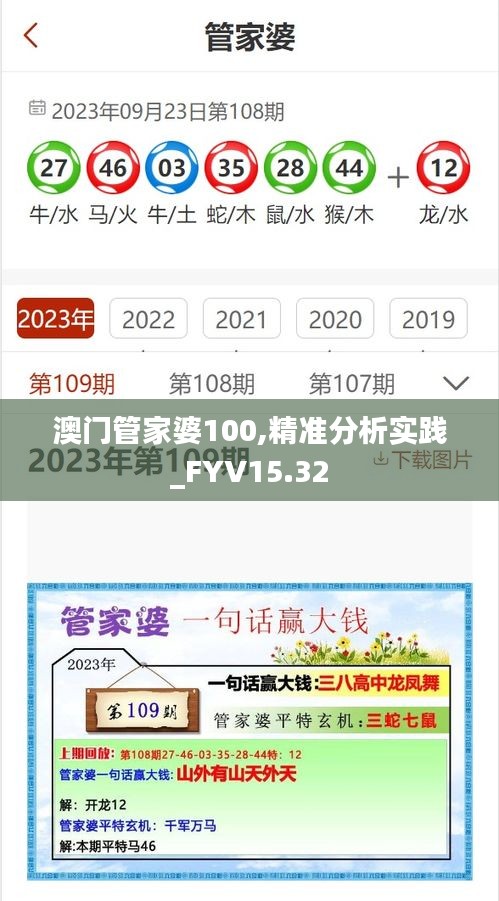 澳门管家婆100,精准分析实践_FYV15.32