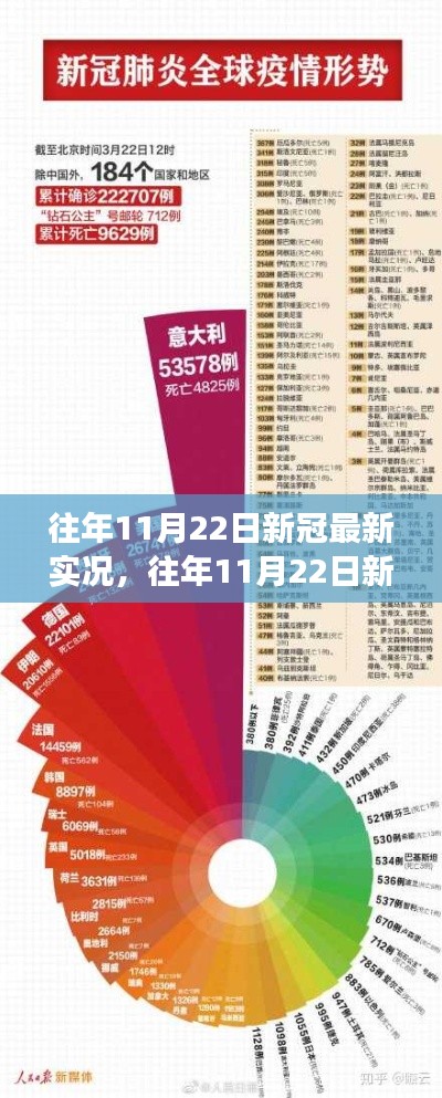 全球新冠疫情进展综述，往年11月22日的关键要点解析与最新实况综述