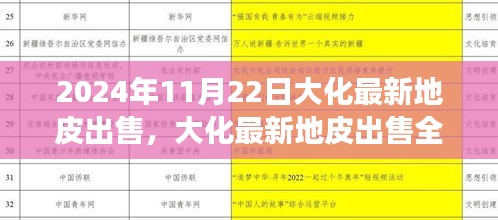 2024年11月22日大化最新地皮出售，大化最新地皮出售全流程指南，从了解信息到成功购买的每一步