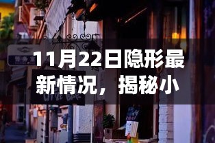 揭秘隐藏版隐形小店，小巷深处的独特风味纪实（最新更新，11月22日）