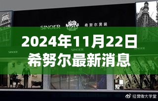 希努尔隐藏版特色小店，小巷深处的独特风味（最新消息2024年11月22日）