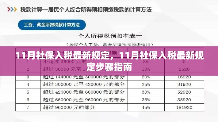 11月社保入税最新规定详解及步骤指南