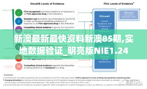 新澳最新最快资料新澳85期,实地数据验证_明亮版NIE1.24