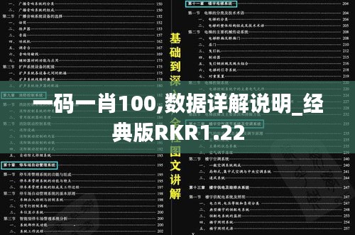 一码一肖100,数据详解说明_经典版RKR1.22