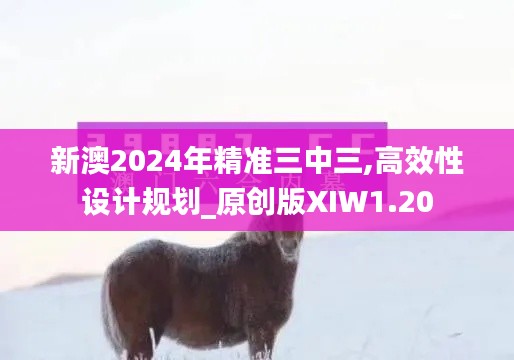 新澳2024年精准三中三,高效性设计规划_原创版XIW1.20