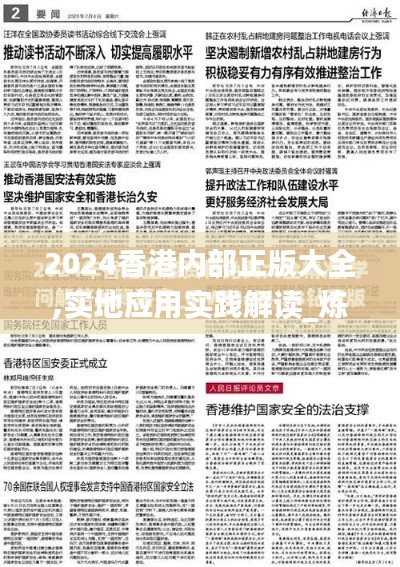 2024香港内部正版大全,实地应用实践解读_炼肉境BHY1.40