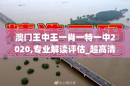 澳门王中王一肖一特一中2020,专业解读评估_超高清版MRR1.85