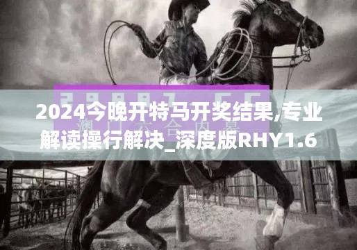 2024今晚开特马开奖结果,专业解读操行解决_深度版RHY1.61