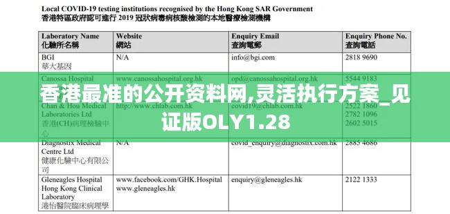 香港最准的公开资料网,灵活执行方案_见证版OLY1.28