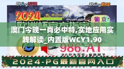 澳门今晚一肖必中特,实地应用实践解读_内置版WCY1.90