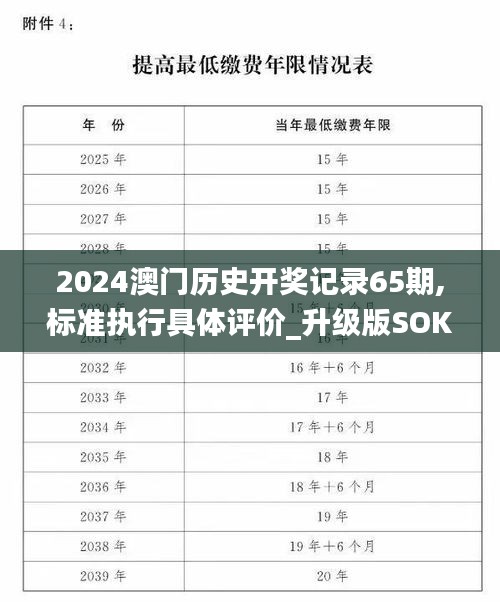 2024澳门历史开奖记录65期,标准执行具体评价_升级版SOK1.32