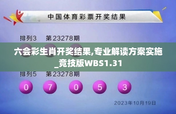 六会彩生肖开奖结果,专业解读方案实施_竞技版WBS1.31