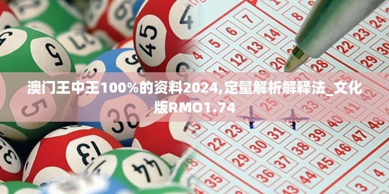 澳门王中王100%的资料2024,定量解析解释法_文化版RMO1.74