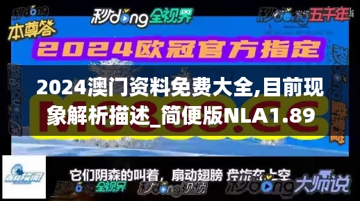 2024澳门资料免费大全,目前现象解析描述_简便版NLA1.89