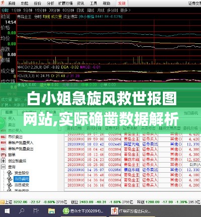 白小姐急旋风救世报图网站,实际确凿数据解析统计_影像处理版QJP1.23