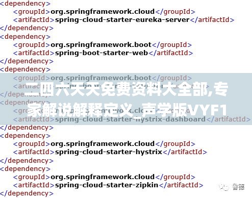 二四六天天免费资料大全部,专家解说解释定义_声学版VYF1.88