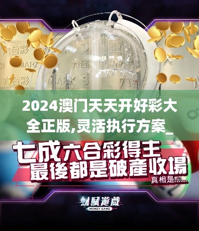 2024澳门天天开好彩大全正版,灵活执行方案_灵动版UBQ1.68