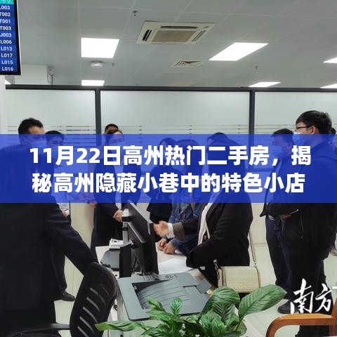 揭秘高州隐藏小巷特色小店与优选二手房背后的故事，11月22日高州二手房探秘之旅