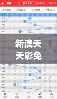 新澳天天彩免费资料49,数据引导执行策略_轻奢版ZKK1.16