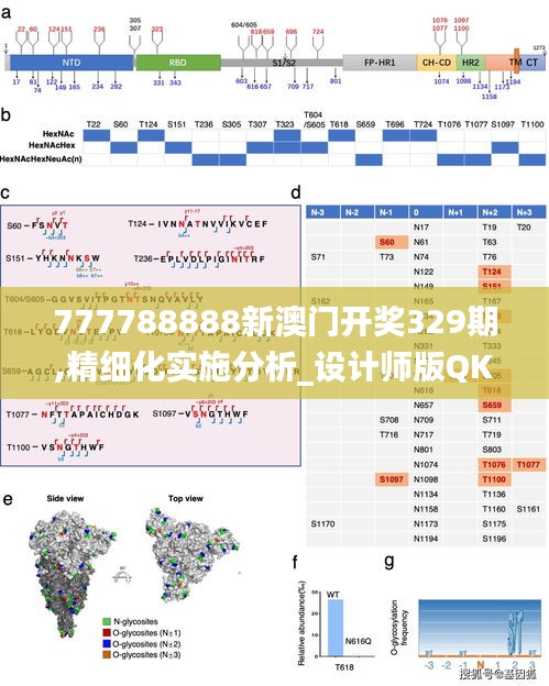 777788888新澳门开奖329期,精细化实施分析_设计师版QKN11.68