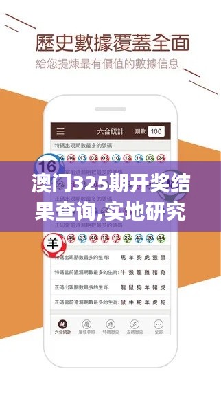 澳门325期开奖结果查询,实地研究解答协助_体验式版本RMH1.46