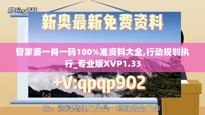 管家婆一肖一码100%准资料大全,行动规划执行_专业版XVP1.33