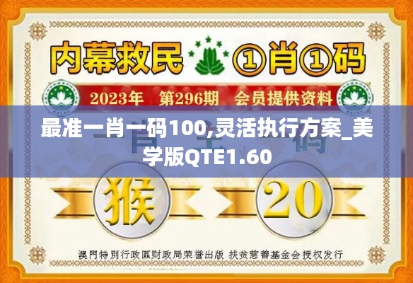 最准一肖一码100,灵活执行方案_美学版QTE1.60