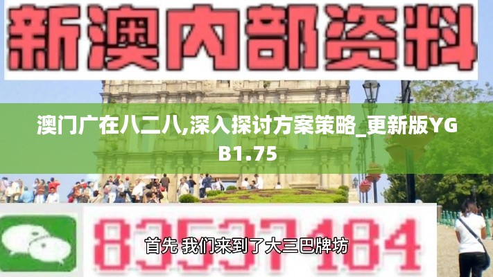 澳门广在八二八,深入探讨方案策略_更新版YGB1.75