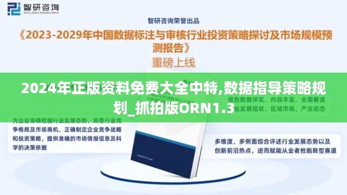 2024年正版资料免费大全中特,数据指导策略规划_抓拍版ORN1.3