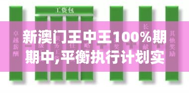 新澳门王中王100%期期中,平衡执行计划实施_工具版IRU1.68