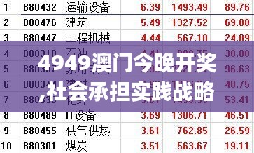 4949澳门今晚开奖,社会承担实践战略_轻奢版IVT1.8