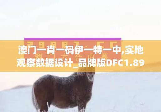 澳门一肖一码伊一特一中,实地观察数据设计_品牌版DFC1.89