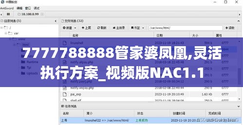 7777788888管家婆凤凰,灵活执行方案_视频版NAC1.1