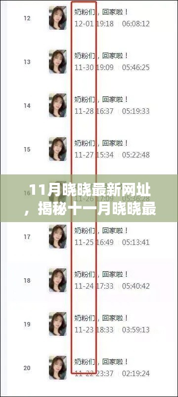 揭秘十一月晓晓最新网址，热点讨论与深度解析