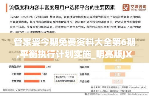 管家婆今期免费资料大全第6期,平衡执行计划实施_明亮版JXH1.18