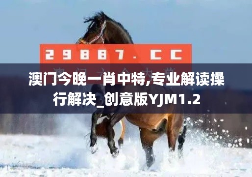 澳门今晚一肖中特,专业解读操行解决_创意版YJM1.2