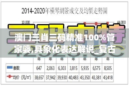 澳门三肖三码精准100%管家婆,具象化表达解说_复古版EFG1.73