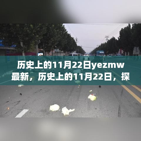 历史上的11月22日，事件背后的深远影响与意义探究