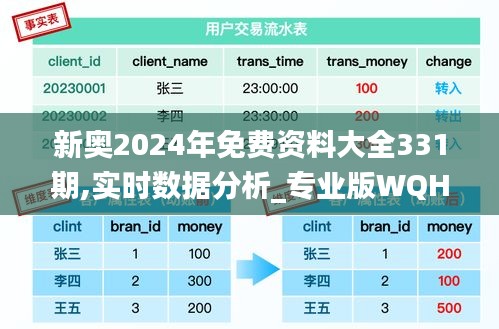 新奥2024年免费资料大全331期,实时数据分析_专业版WQH11.77