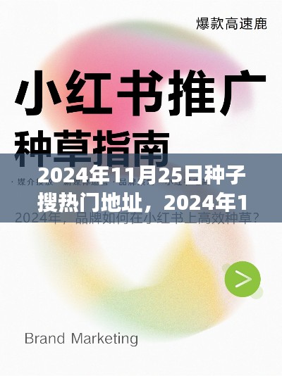 小红书种植热潮揭秘，2024年种子搜索热门地址大解密