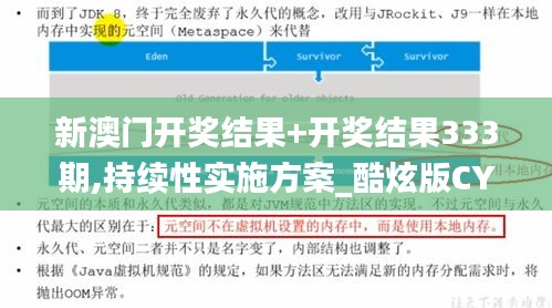 新澳门开奖结果+开奖结果333期,持续性实施方案_酷炫版CYS11.67